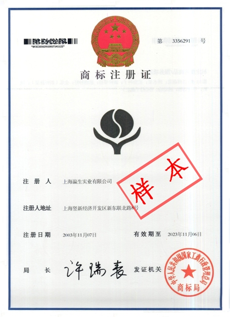 东莞专业快捷商标代理注册与知识产权事务代理全面指南