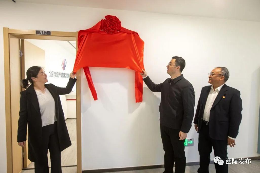 西陵区知识产权宣传周主题活动 聚焦知识产权事务代理，赋能创新发展